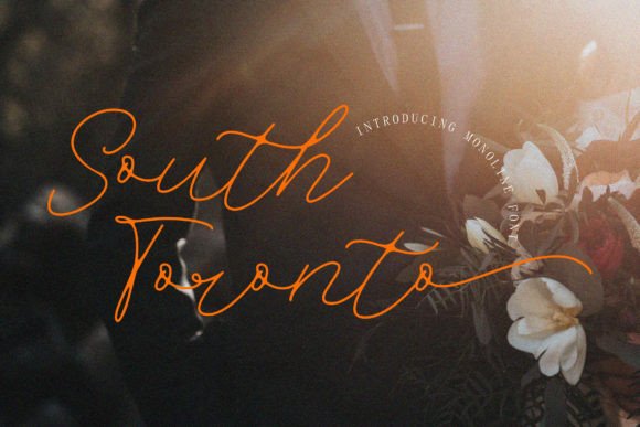 South Toronto Script Font for Modern Marketing